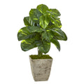 33" Dieffenbachia Artificial Plant in Country White Planter
