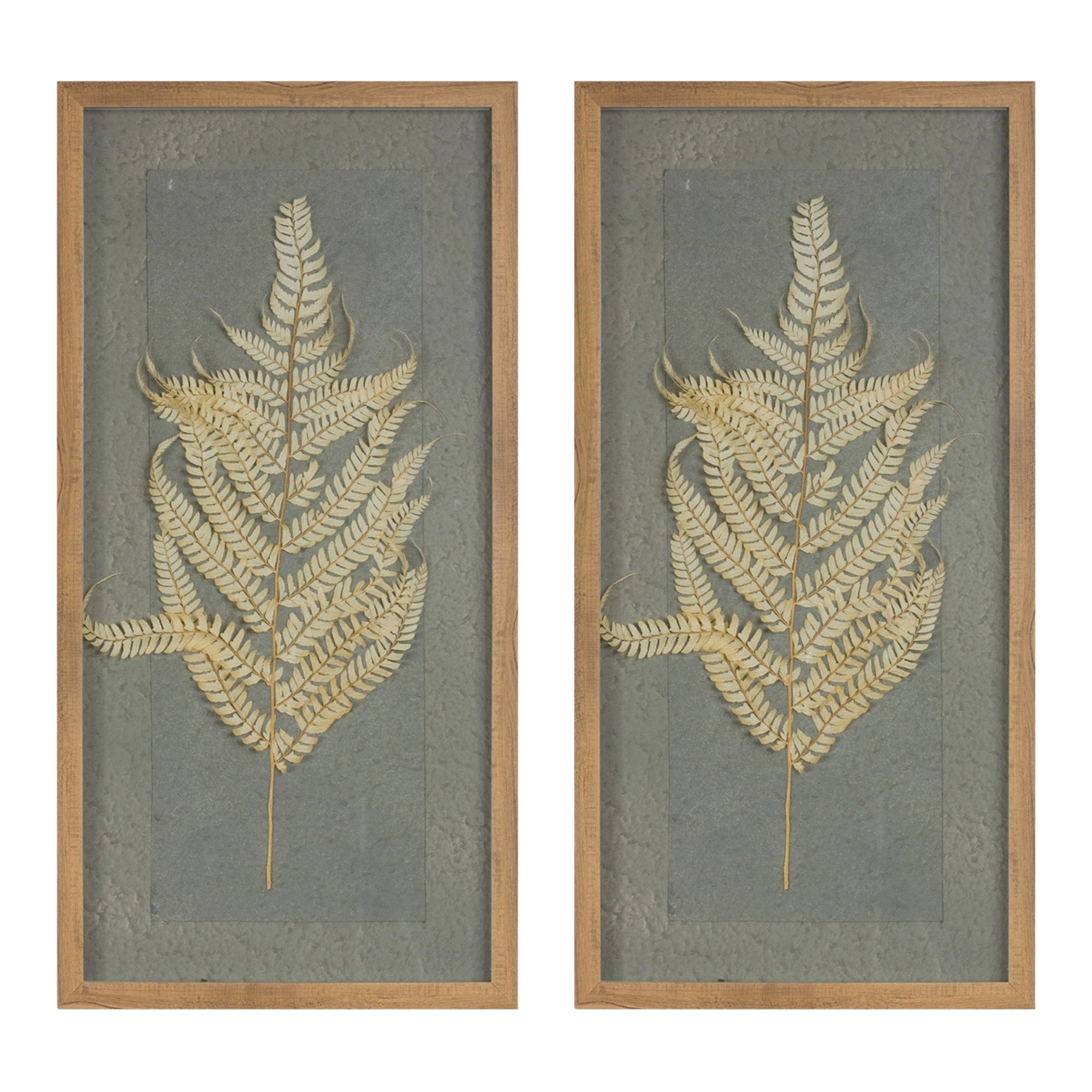 Dried Fern Frame (Set of 2)