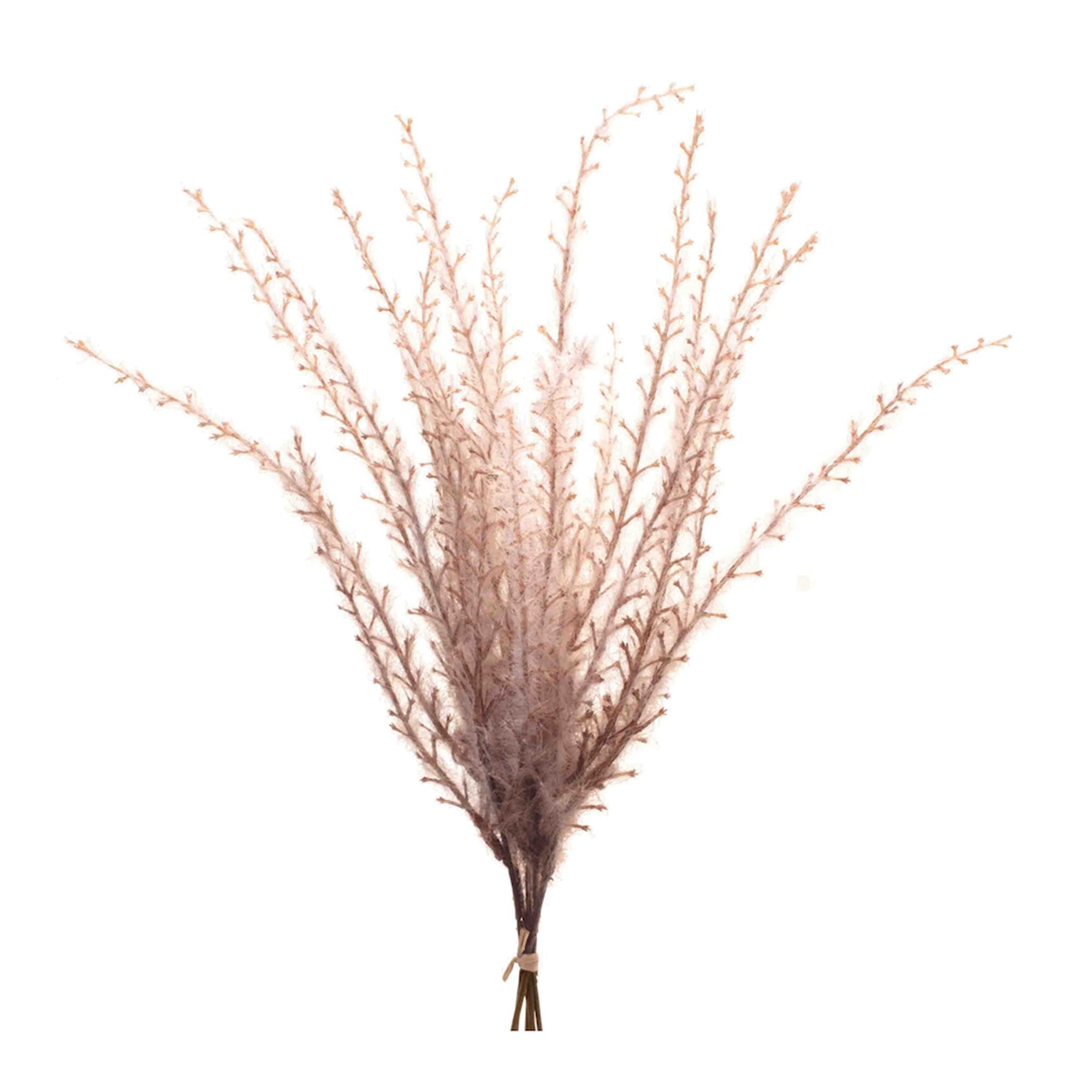 Grass Plume Bundle (Set of 6)