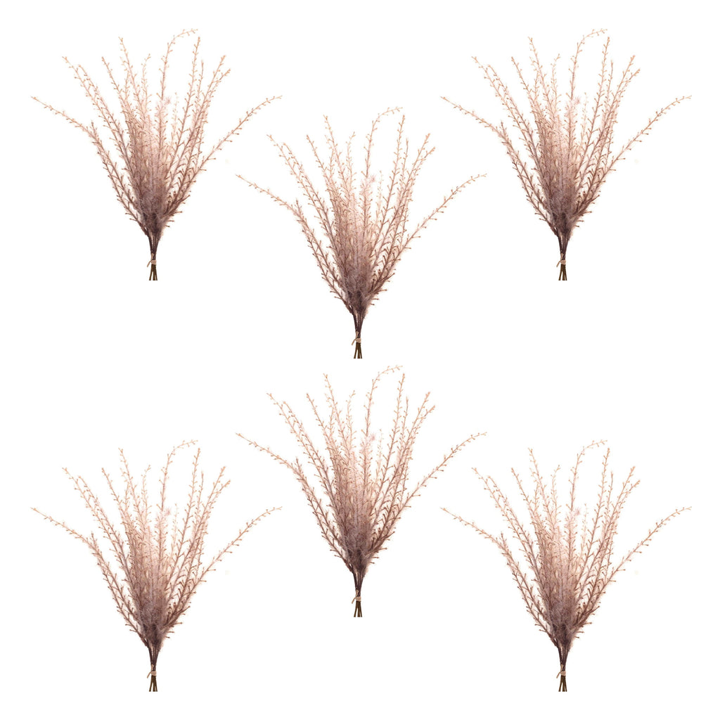 Grass Plume Bundle (Set of 6)
