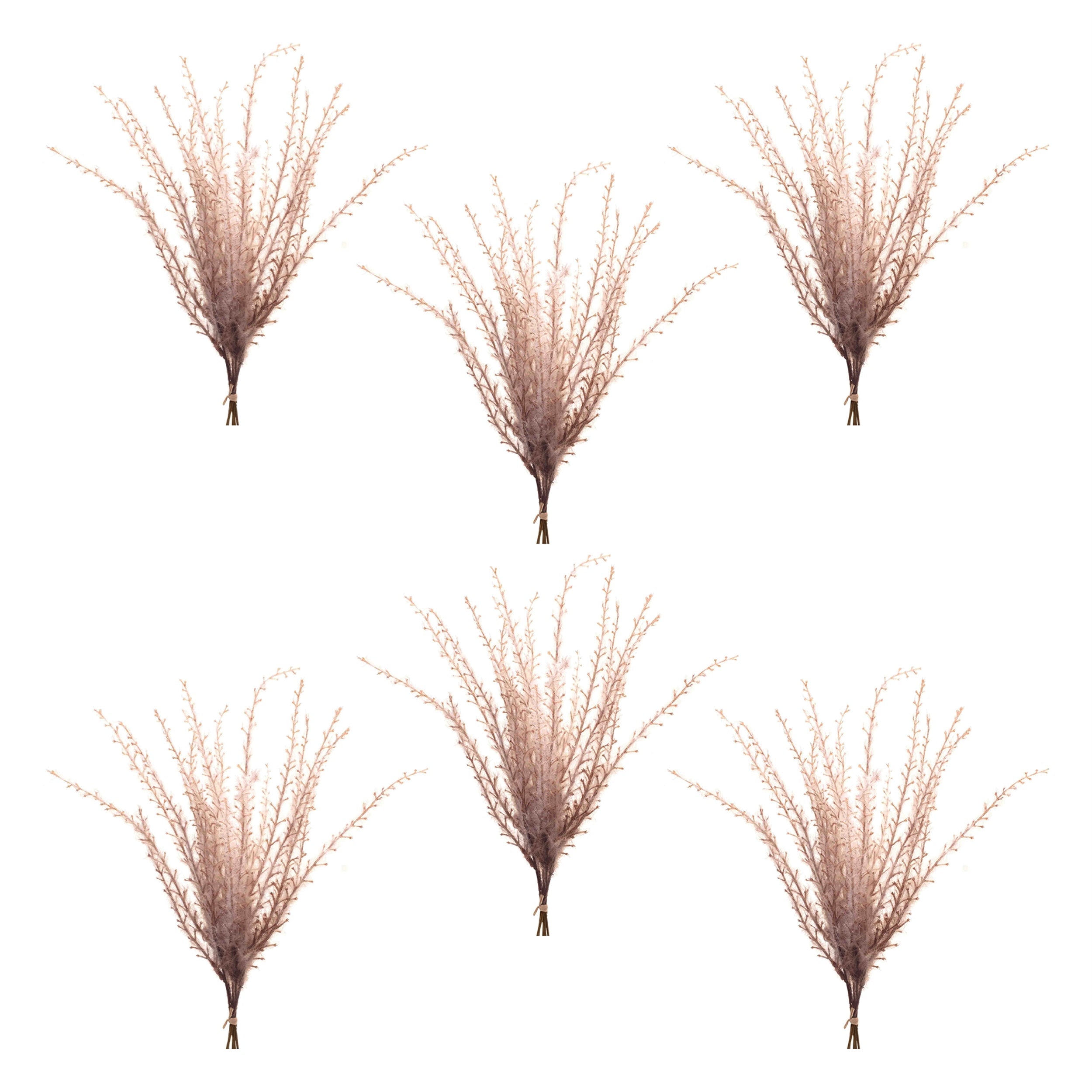 Grass Plume Bundle (Set of 6)