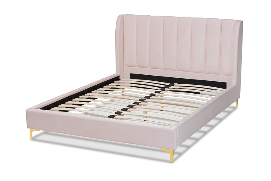 Baxton Studio Saverio Glam and Luxe Light Pink Velvet Fabric Upholstered Queen Size Platform Bed with Gold-Tone Legs