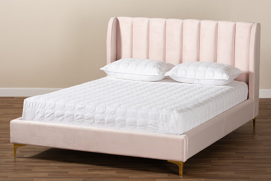 Baxton Studio Saverio Glam and Luxe Light Pink Velvet Fabric Upholstered Queen Size Platform Bed with Gold-Tone Legs