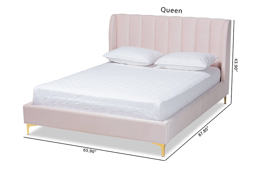 Baxton Studio Saverio Glam and Luxe Light Pink Velvet Fabric Upholstered Queen Size Platform Bed with Gold-Tone Legs