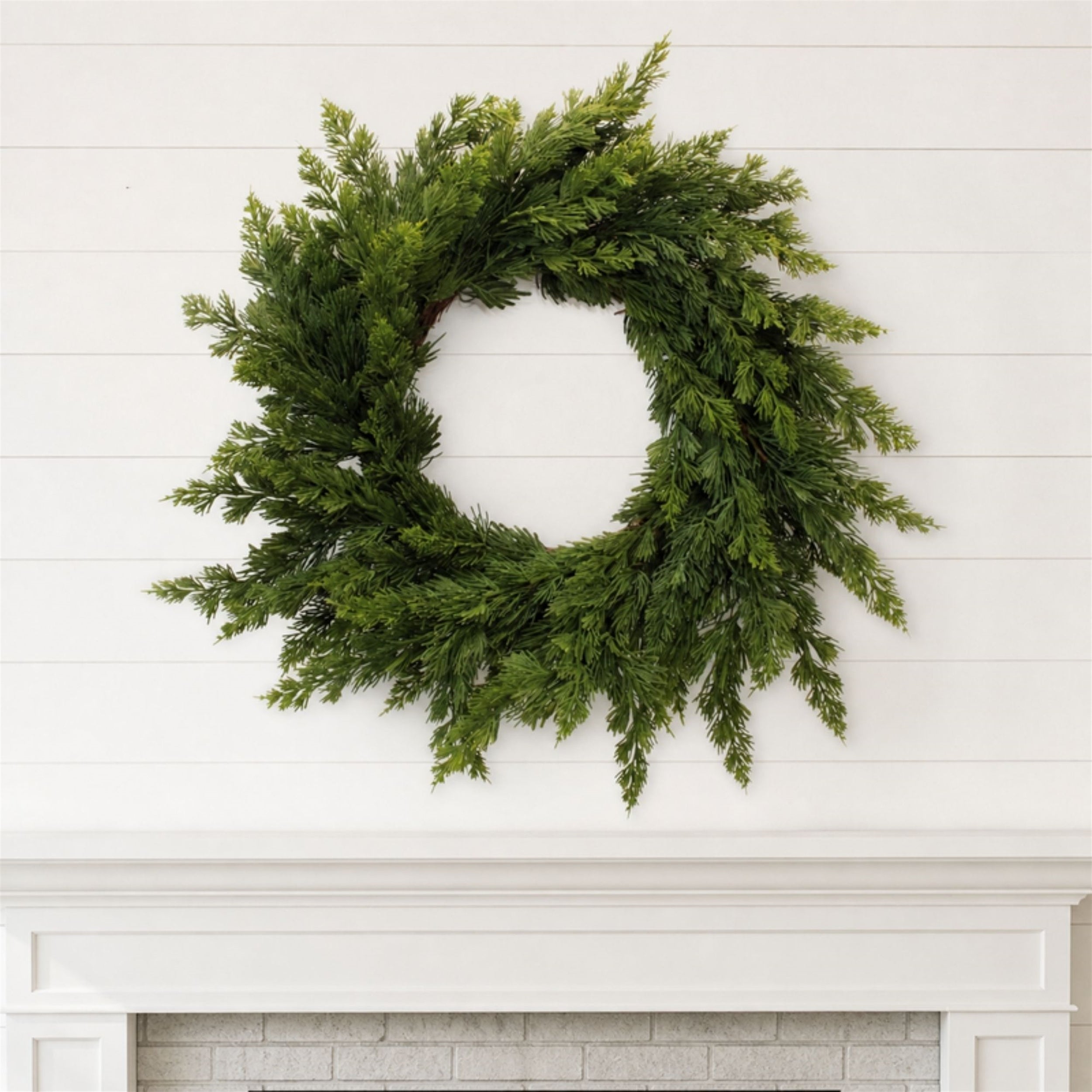 Variegated Pine Wreath 25"D