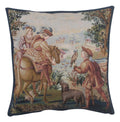 Falcon 1 European Cushion