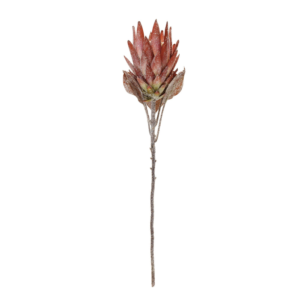 Orange Protea Flower Stem (Set of 2)