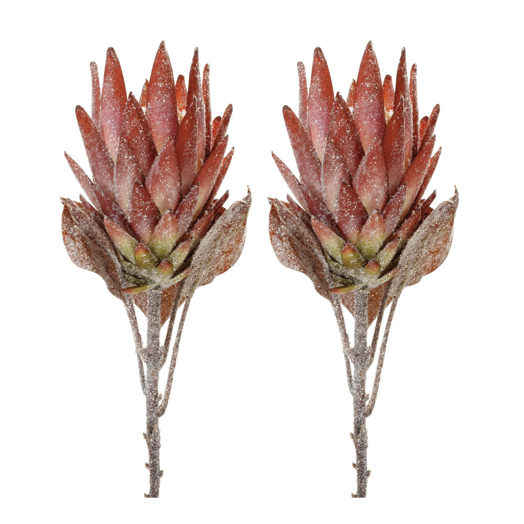 Orange Protea Flower Stem (Set of 2)