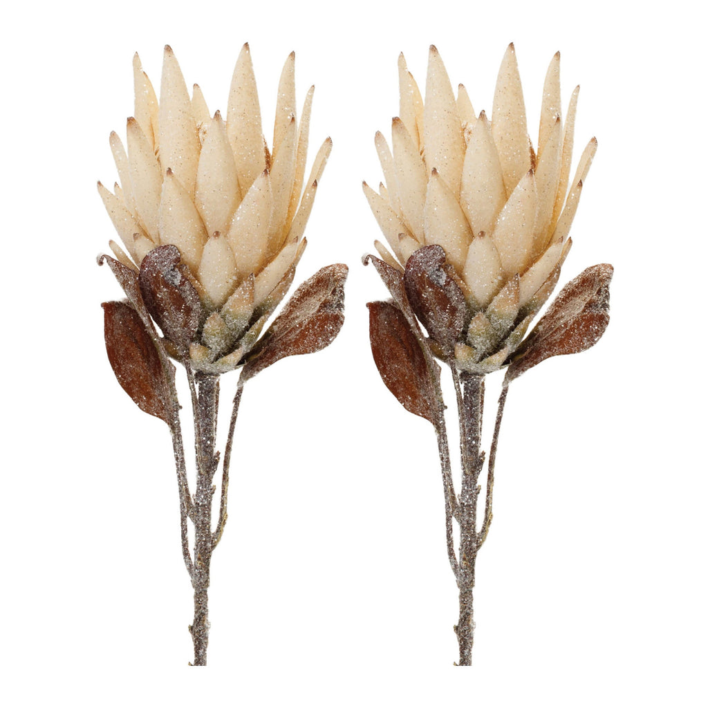 Beige Protea Flower Stem (Set of 2)