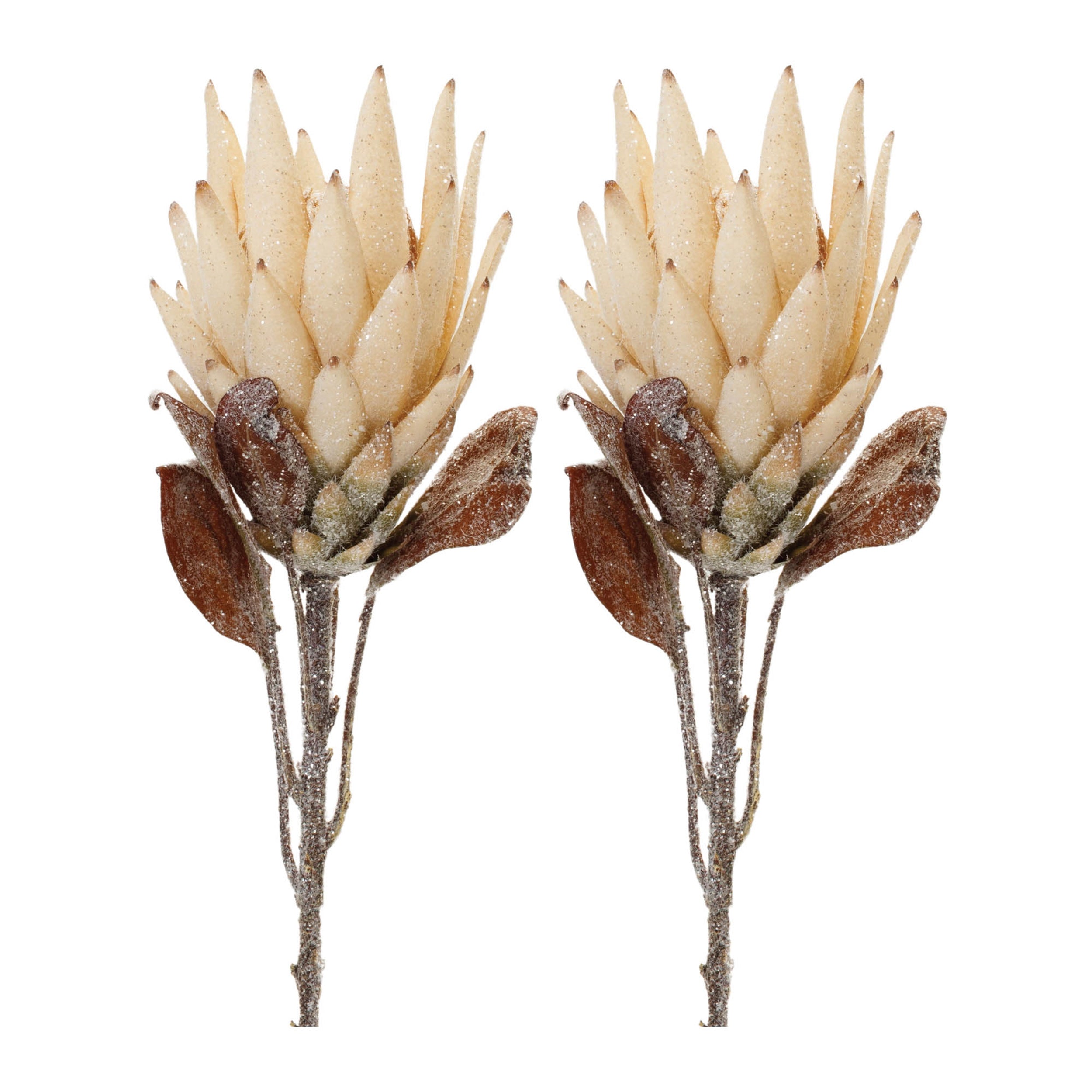 Beige Protea Flower Stem (Set of 2)