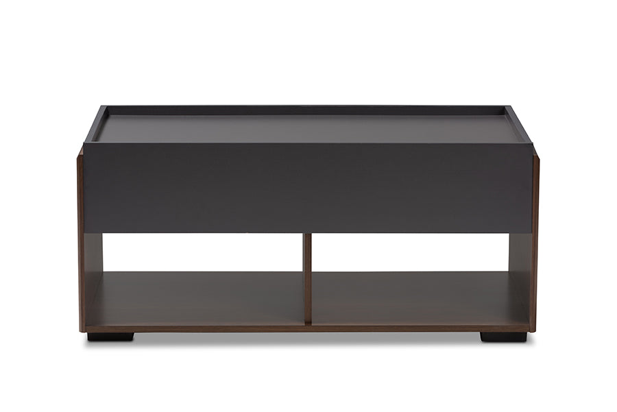 Baxton Studio Rikke Modern and Contemporary Two-Tone Gray and Walnut Finished Wood 2-Drawer Coffee Table