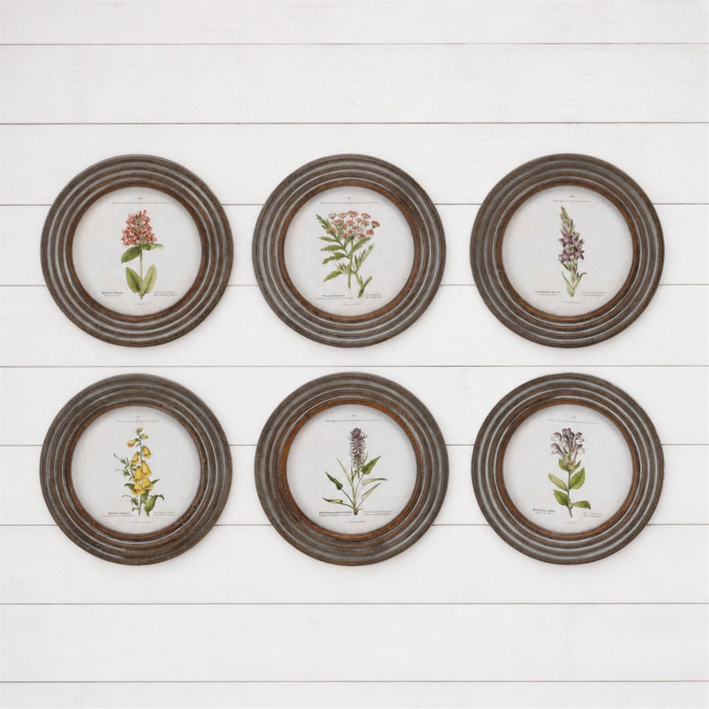 Round Framed Floral Print (Set of 6)