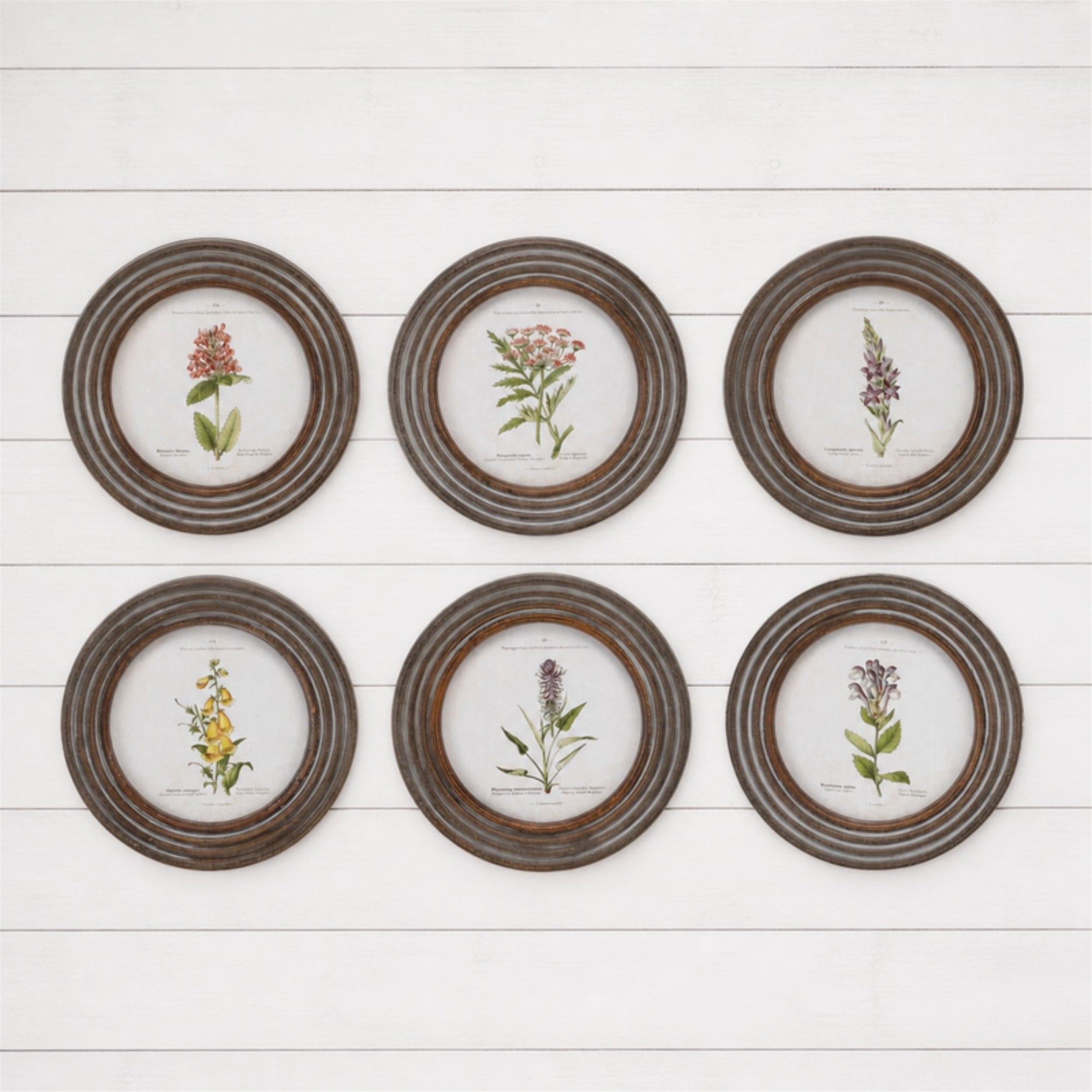Round Framed Floral Print (Set of 6)