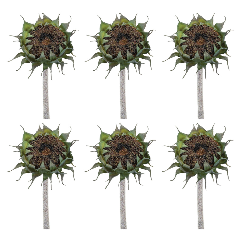Brown Sunflower Stem (Set of 6)