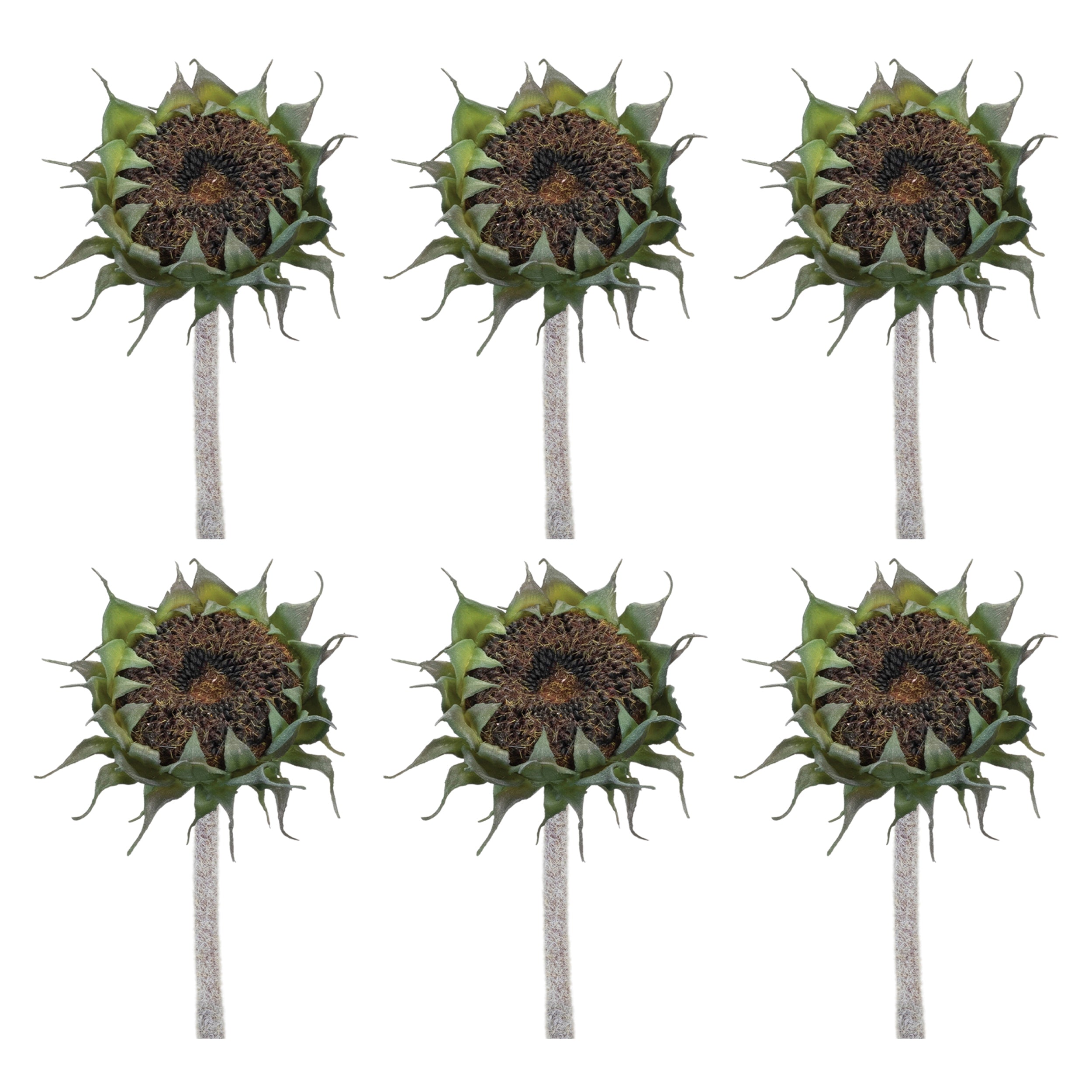 Brown Sunflower Stem (Set of 6)
