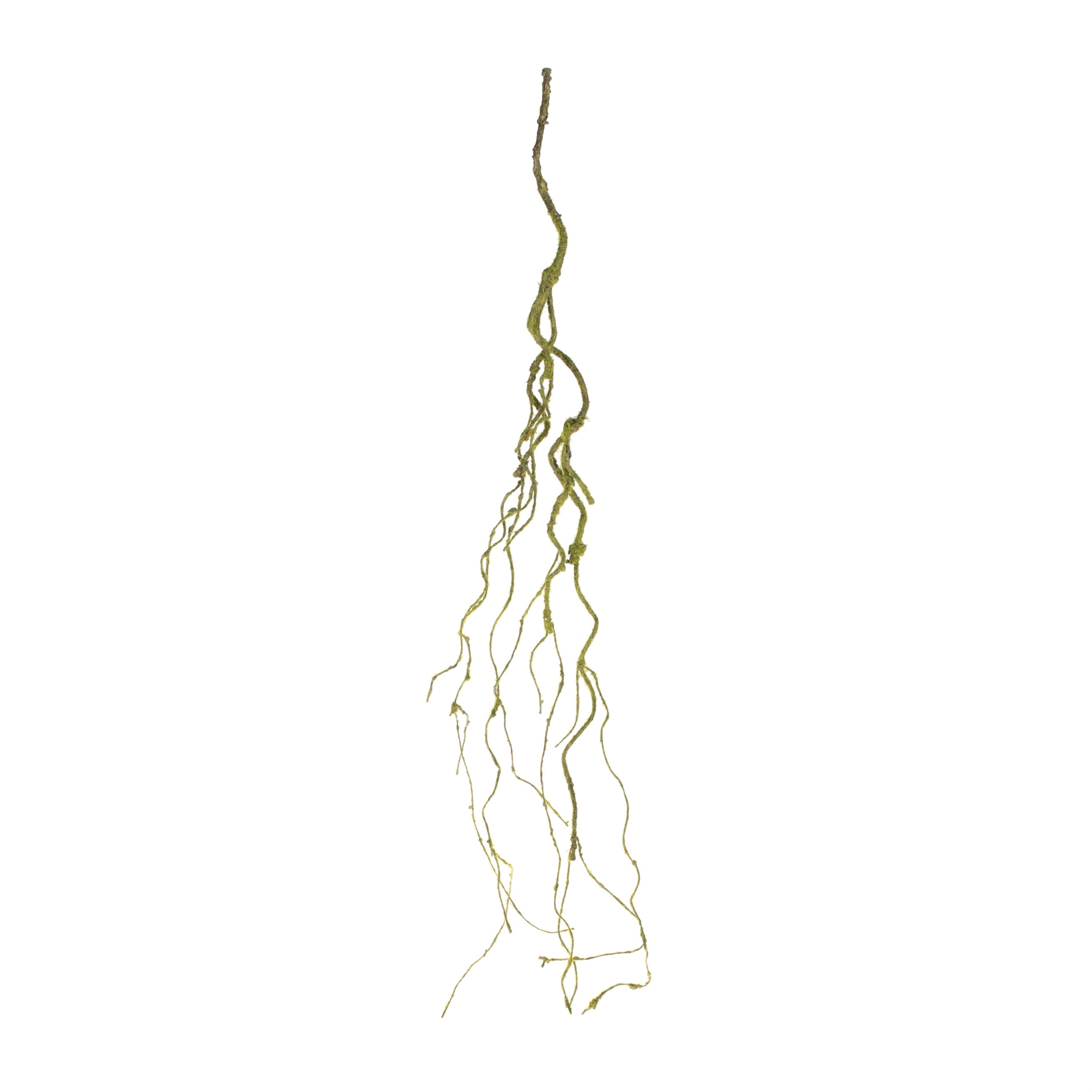 Mossy Twig Vine (Set of 6)