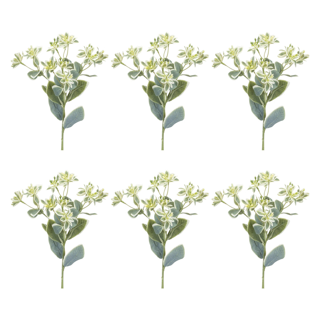 Euphorbia Floral Stem (Set of 6)