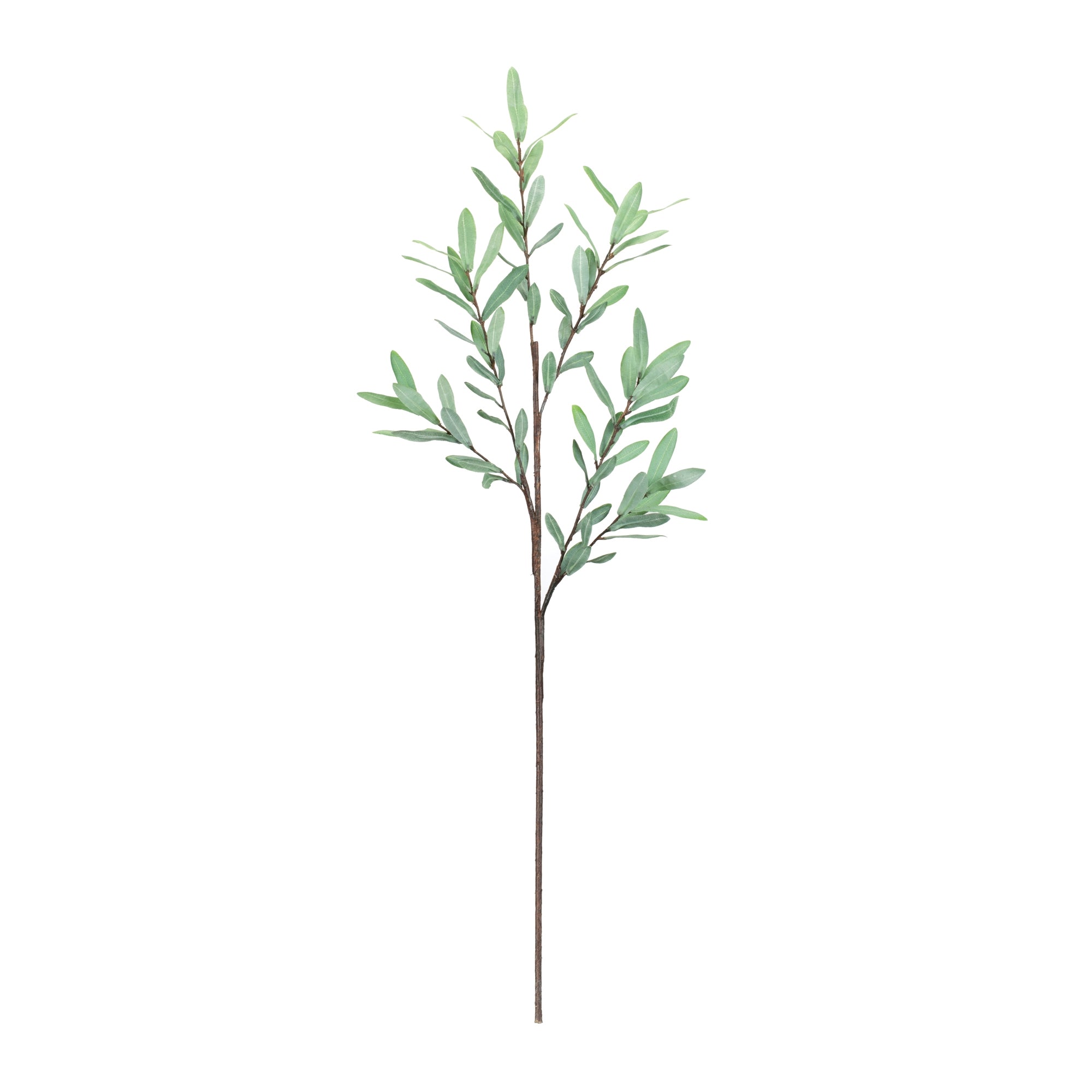 Olive Leaf Twig Branch (Set of 2)