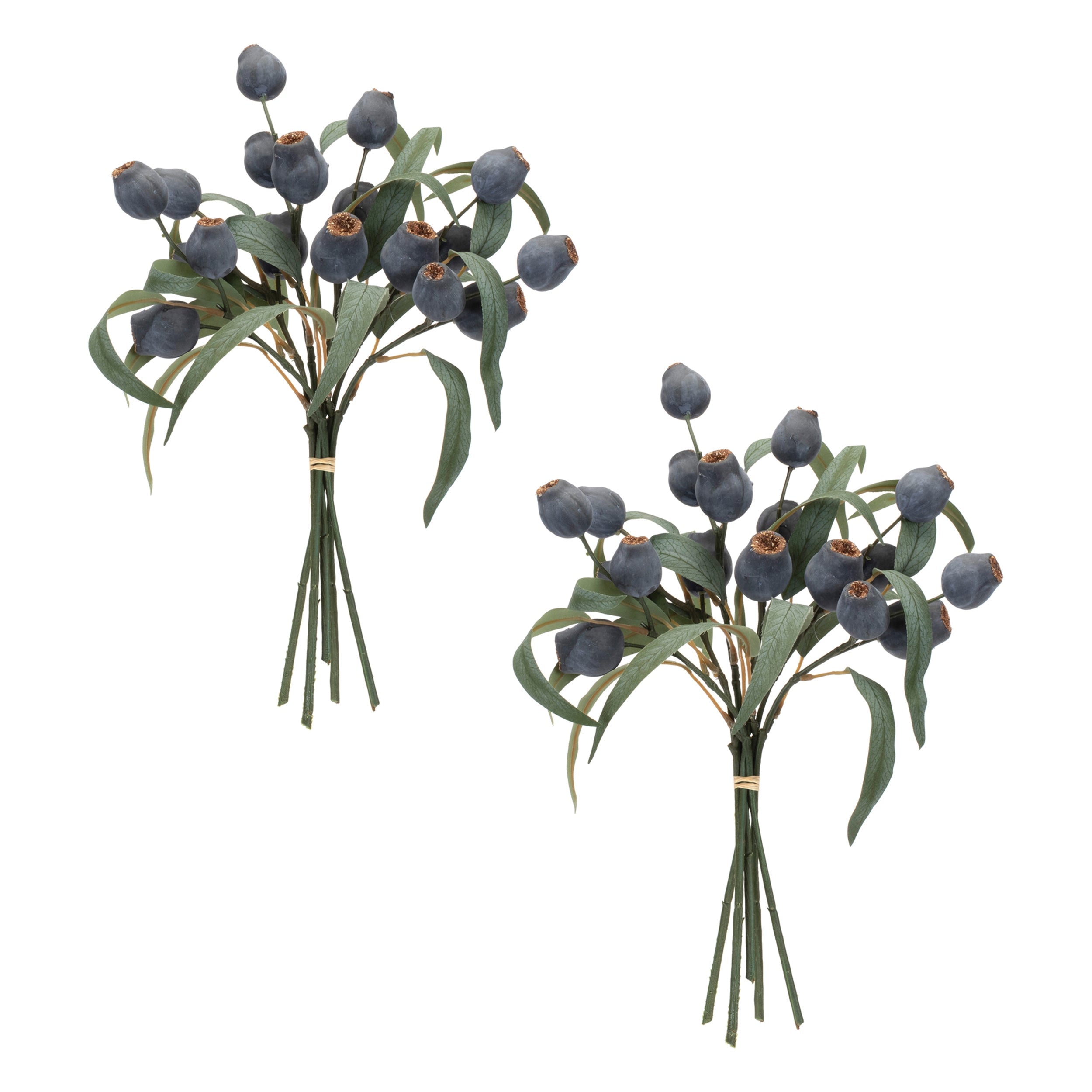 Blue Pod Foliage Bundle (Set of 2)