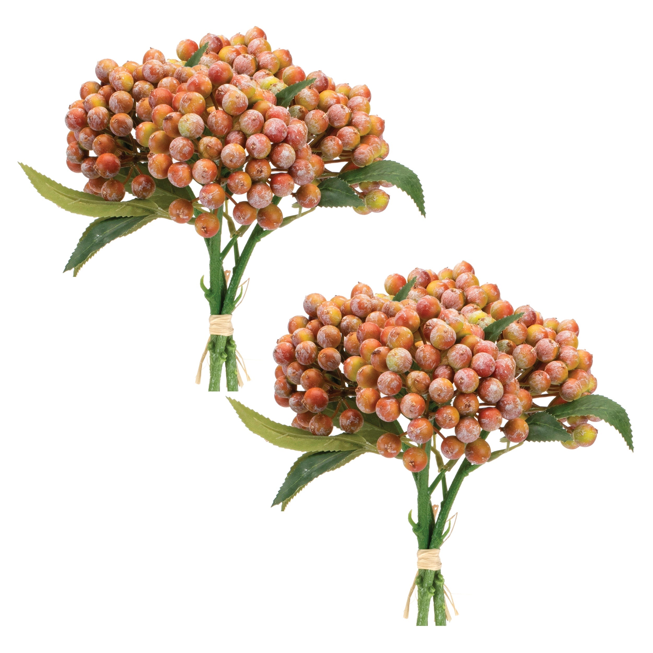 Orange Berry Bundle (Set of 2)