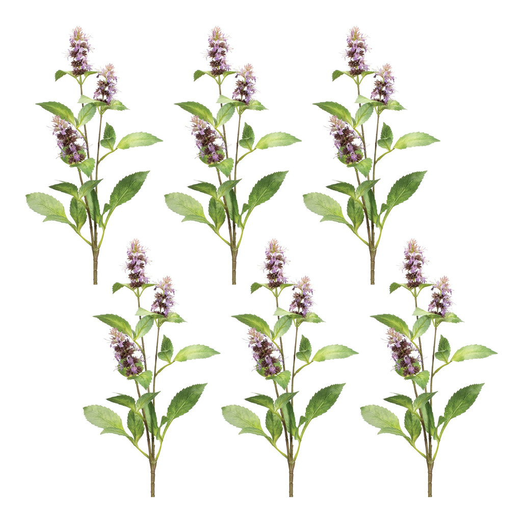 Buddleia Floral Stem (Set of 6)