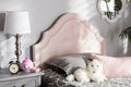 Baxton Studio Cora Modern and Contemporary Light Pink Velvet Fabric Upholstered Twin Size Headboard