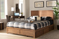 Baxton Studio Aras Modern and Contemporary Transitional Ash Walnut Brown Finished Wood Full Size 3-Drawer Platform Storage Bed