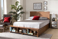 Baxton Studio Alba Modern Transitional Ash Walnut Brown Finished Wood Queen Size 4-Drawer Platform Storage Bed with Built-In Shelves