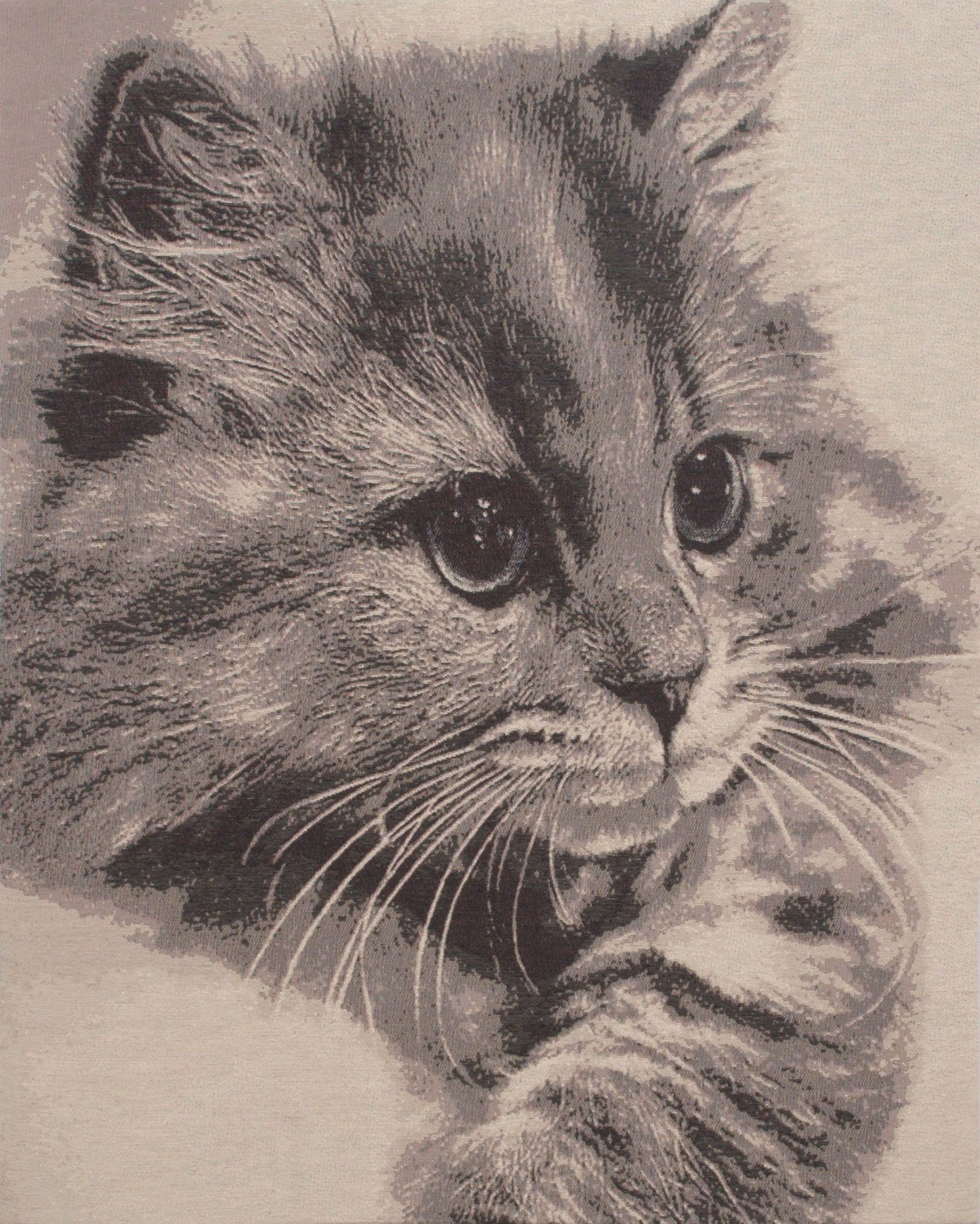 Mister Whiskers Stretched Wall Tapestry