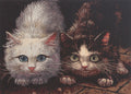 Pounce Stretched Wall Tapestry