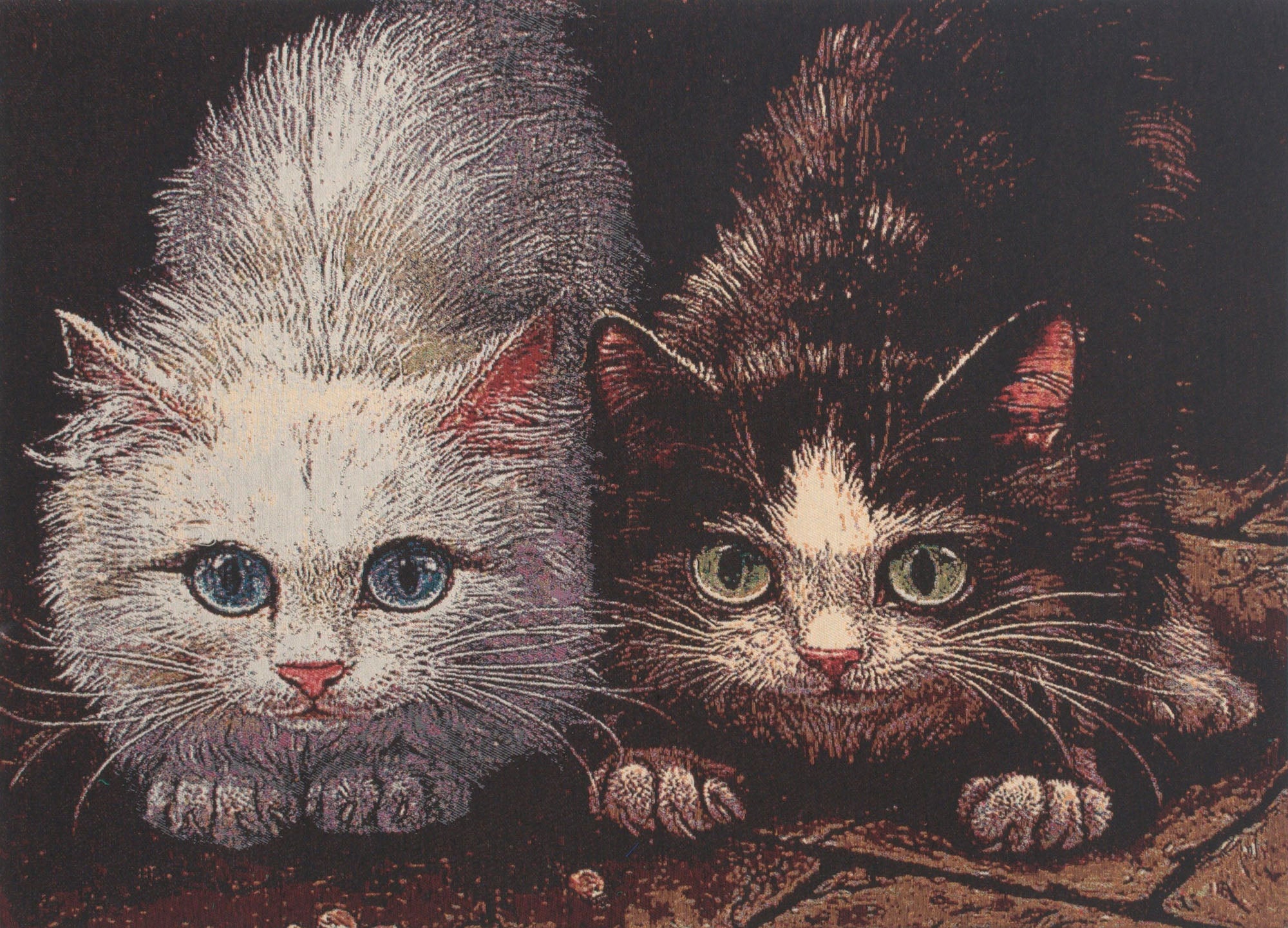 Pounce Stretched Wall Tapestry