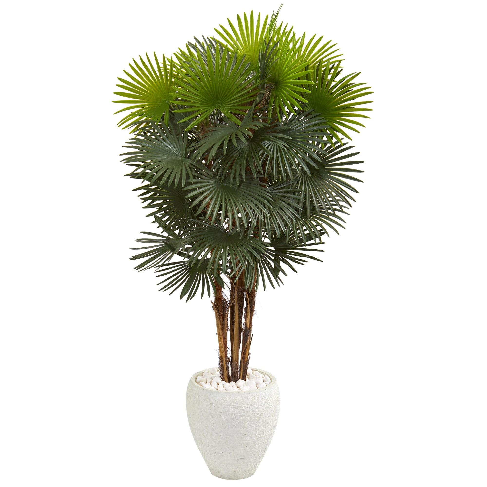 57" Fan Palm Artificial Tree in White Planter