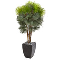 59" Fan Palm Artificial Tree in Black Planter