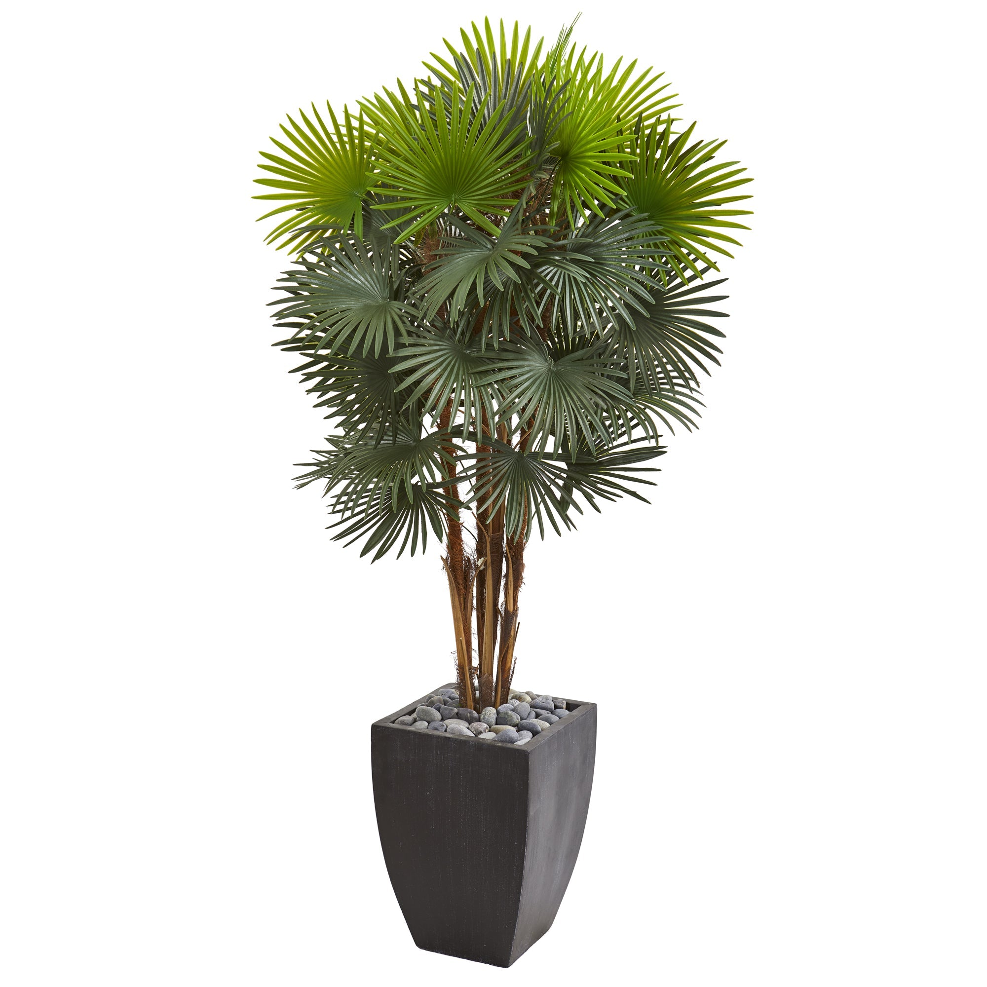 59" Fan Palm Artificial Tree in Black Planter