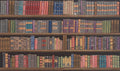 Plethora of Books Stretched Wall Tapestry