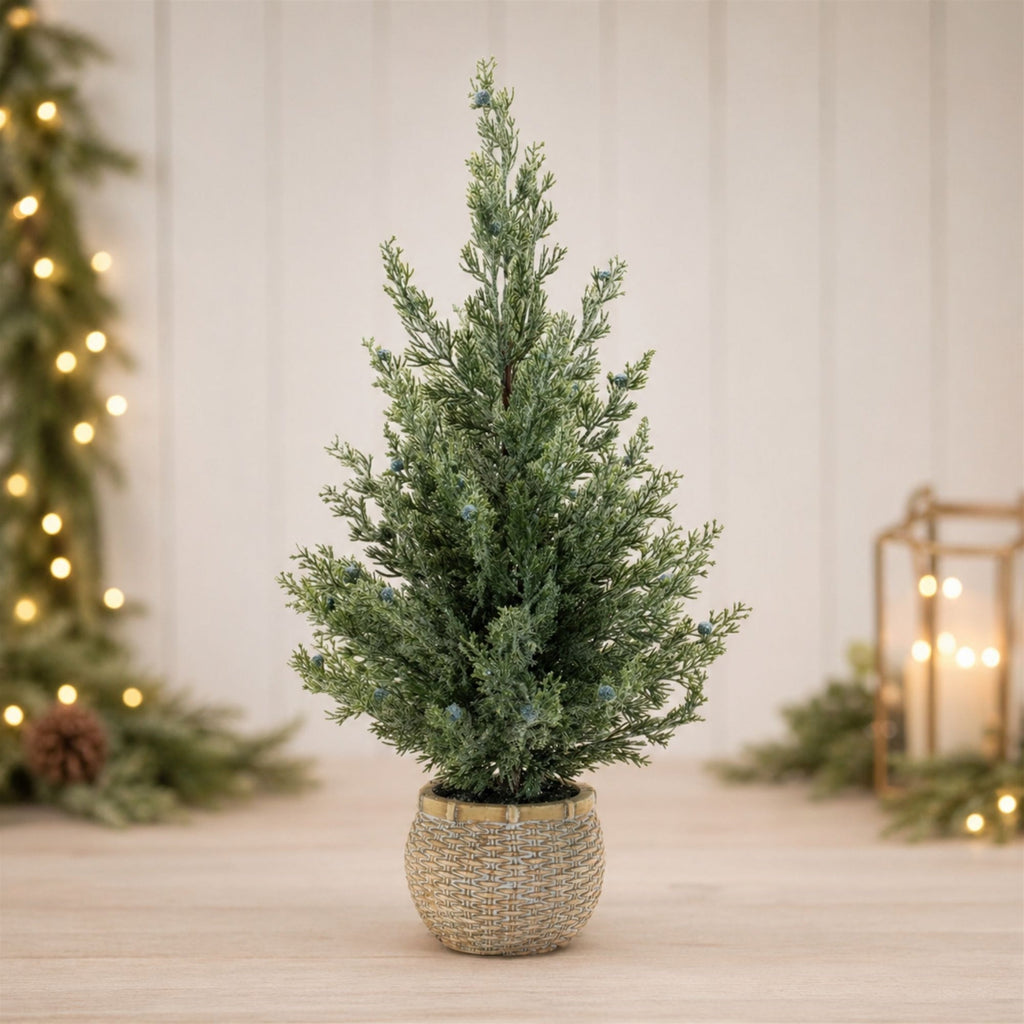 Potted Mini Pine Tree (Set of 2)