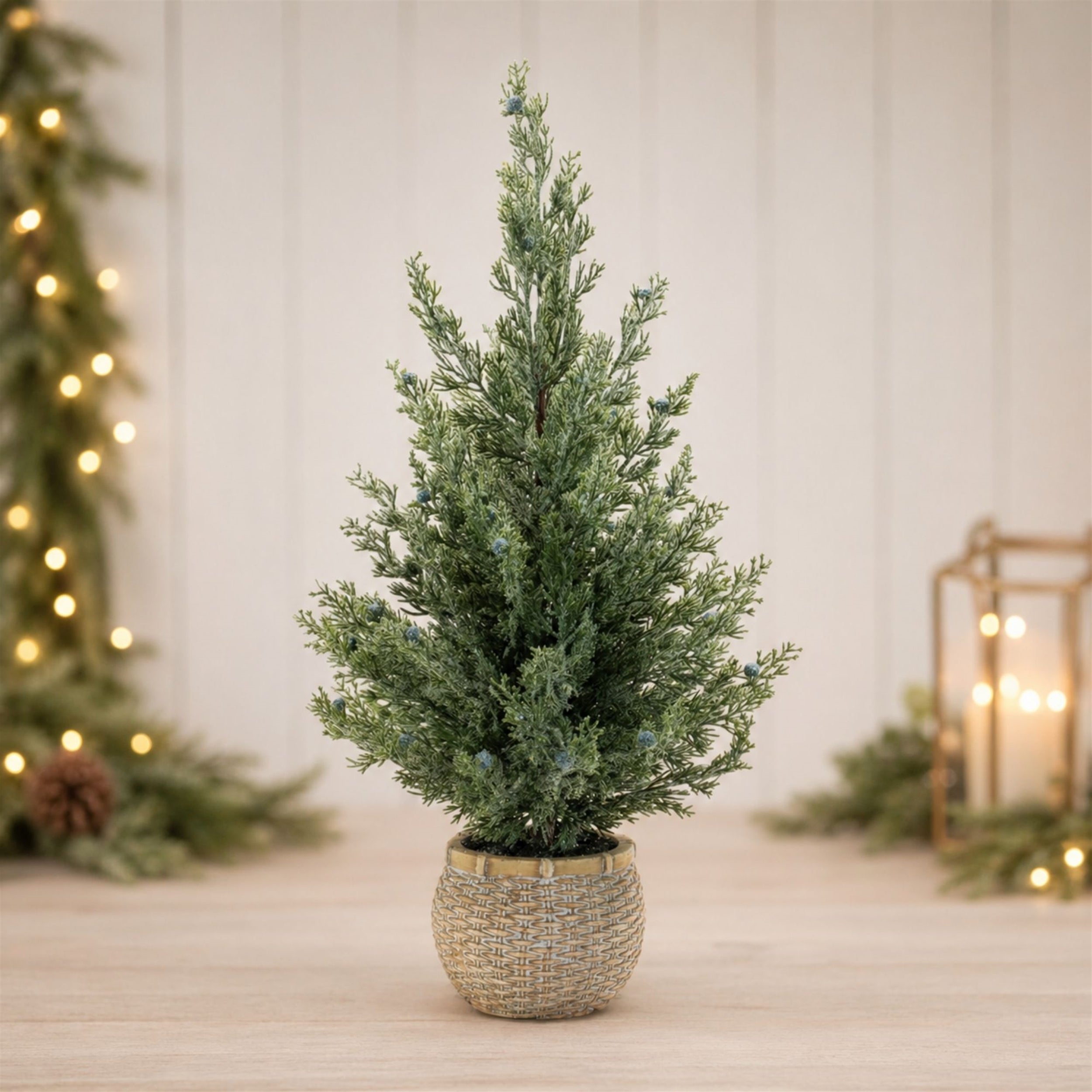 Potted Mini Pine Tree (Set of 2)