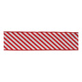 Striped Wired Ribbon (Set of 2)