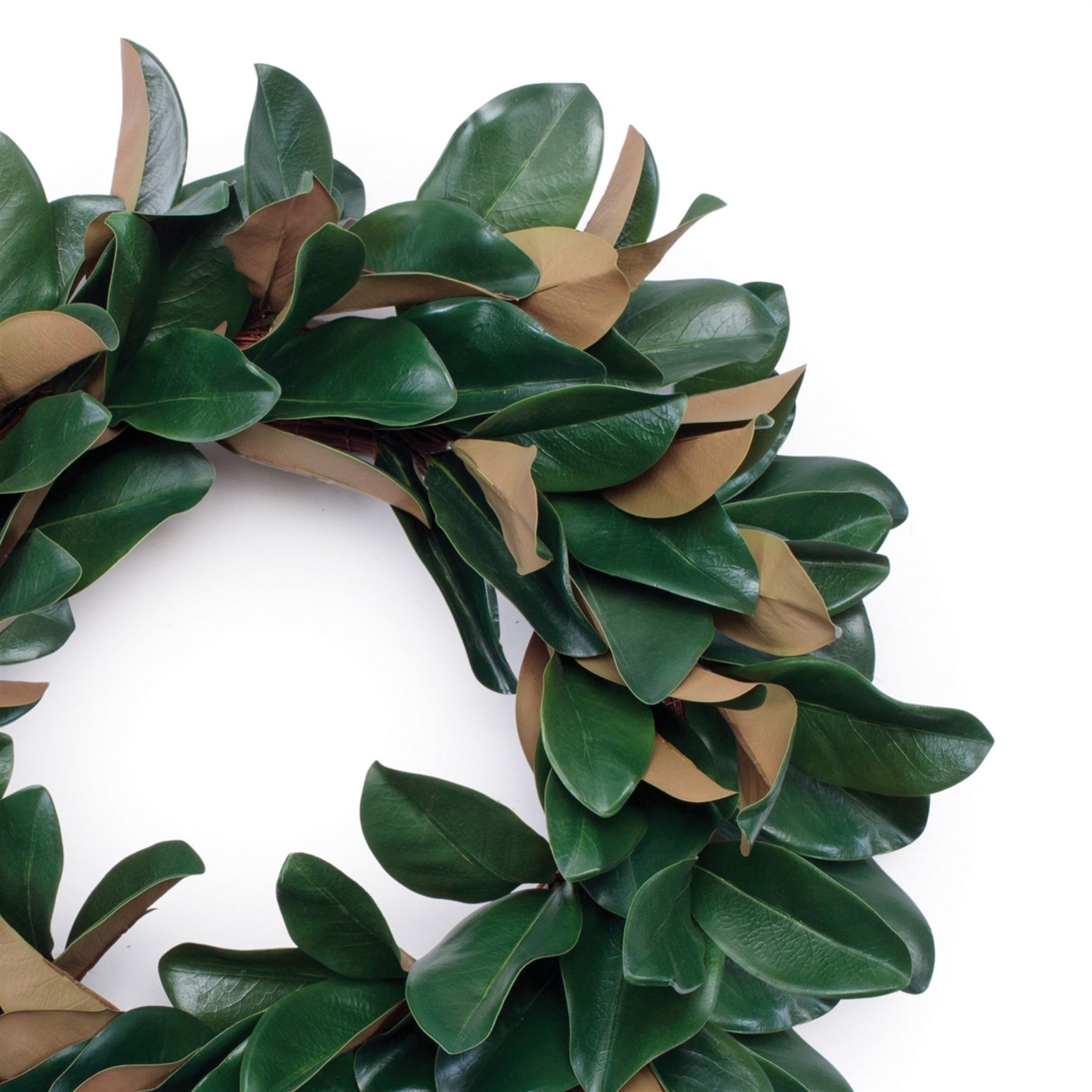 Magnolia Leaf Wreath 24"D