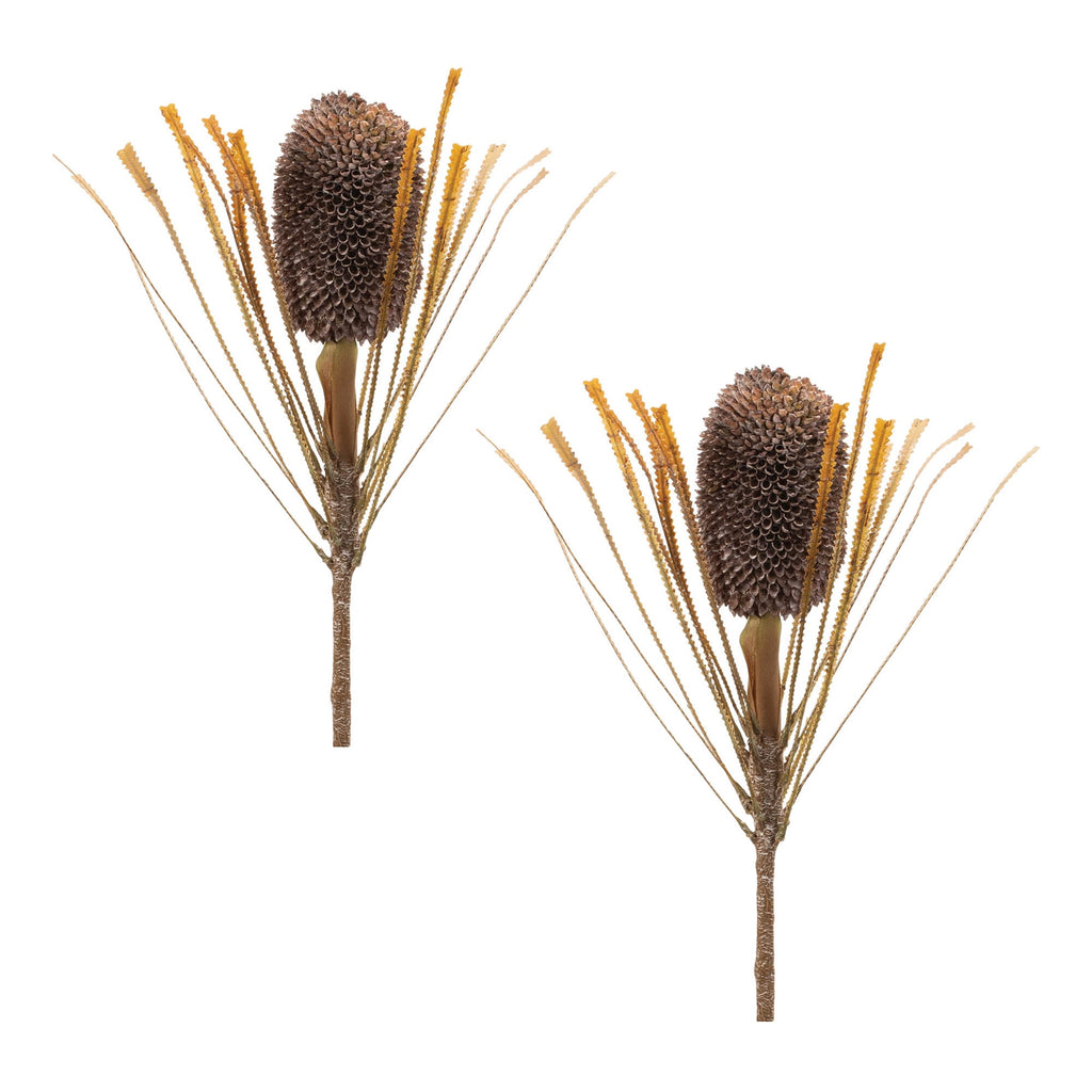 Fall Banksia Pod Stem (Set of 2)