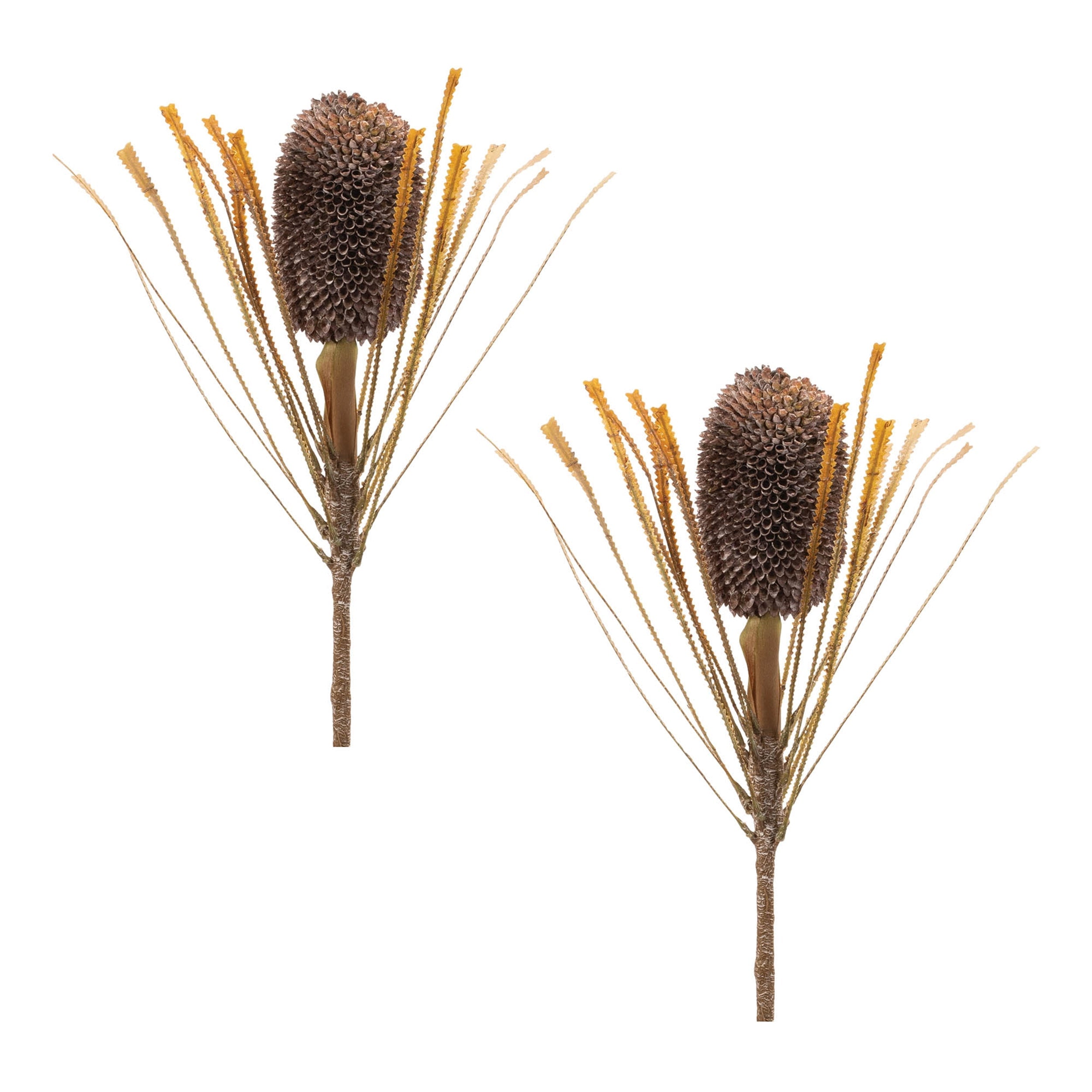 Fall Banksia Pod Stem (Set of 2)