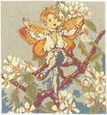 Pear Blossom Fairy Cicely Mary Barker European Cushion Covers