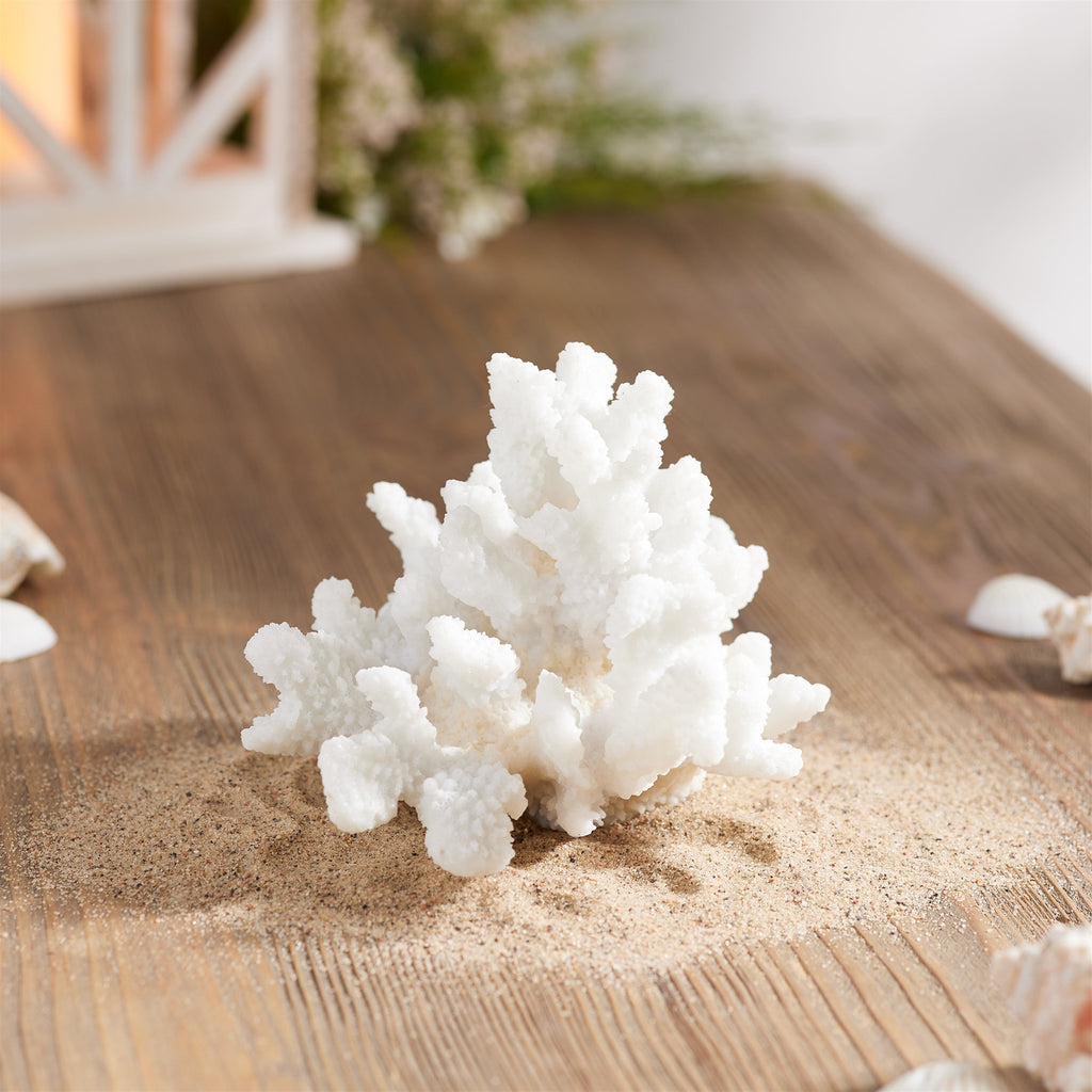 Set of 4 White Resin Coral Decorative Sculptures