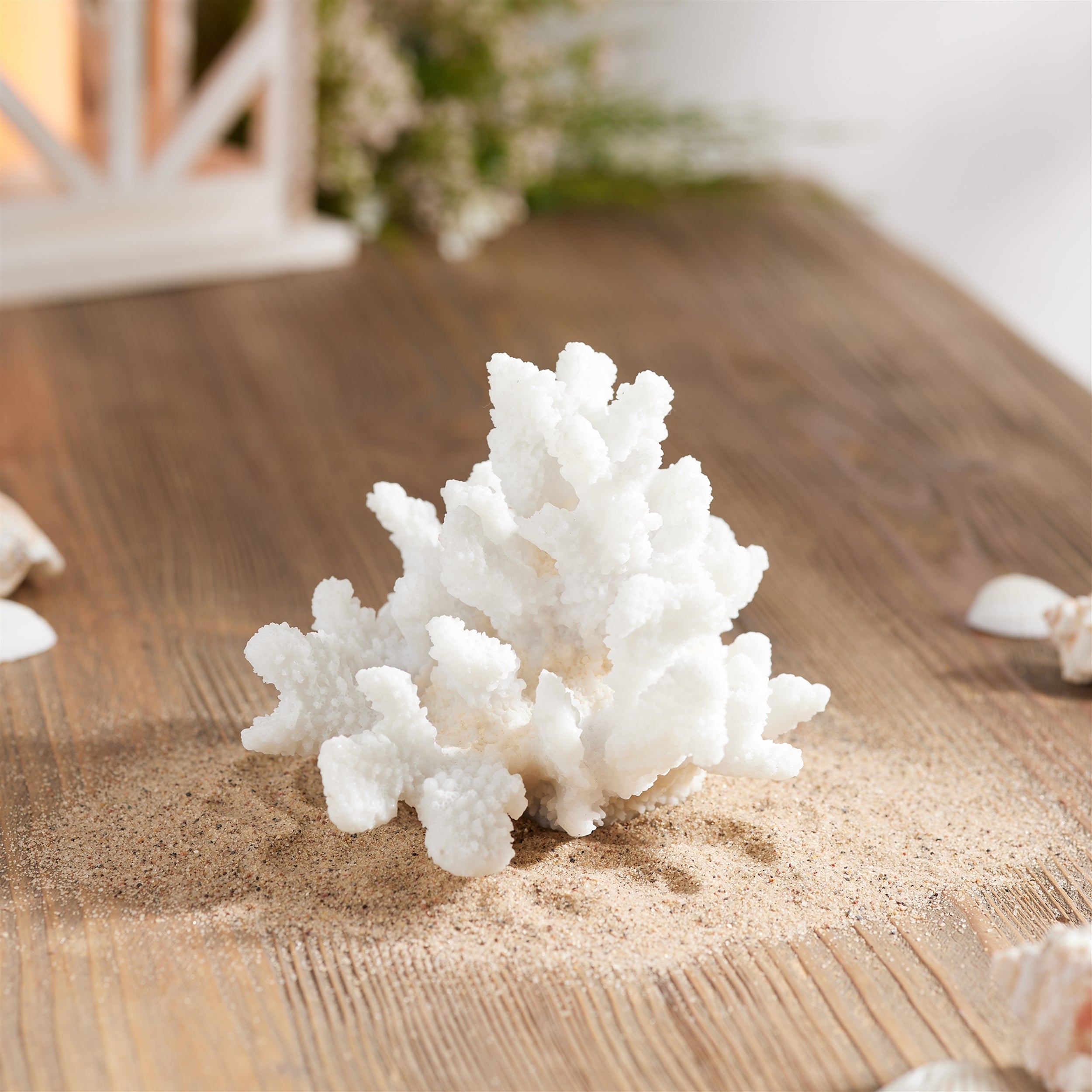 Set of 4 White Resin Coral Decorative Sculptures