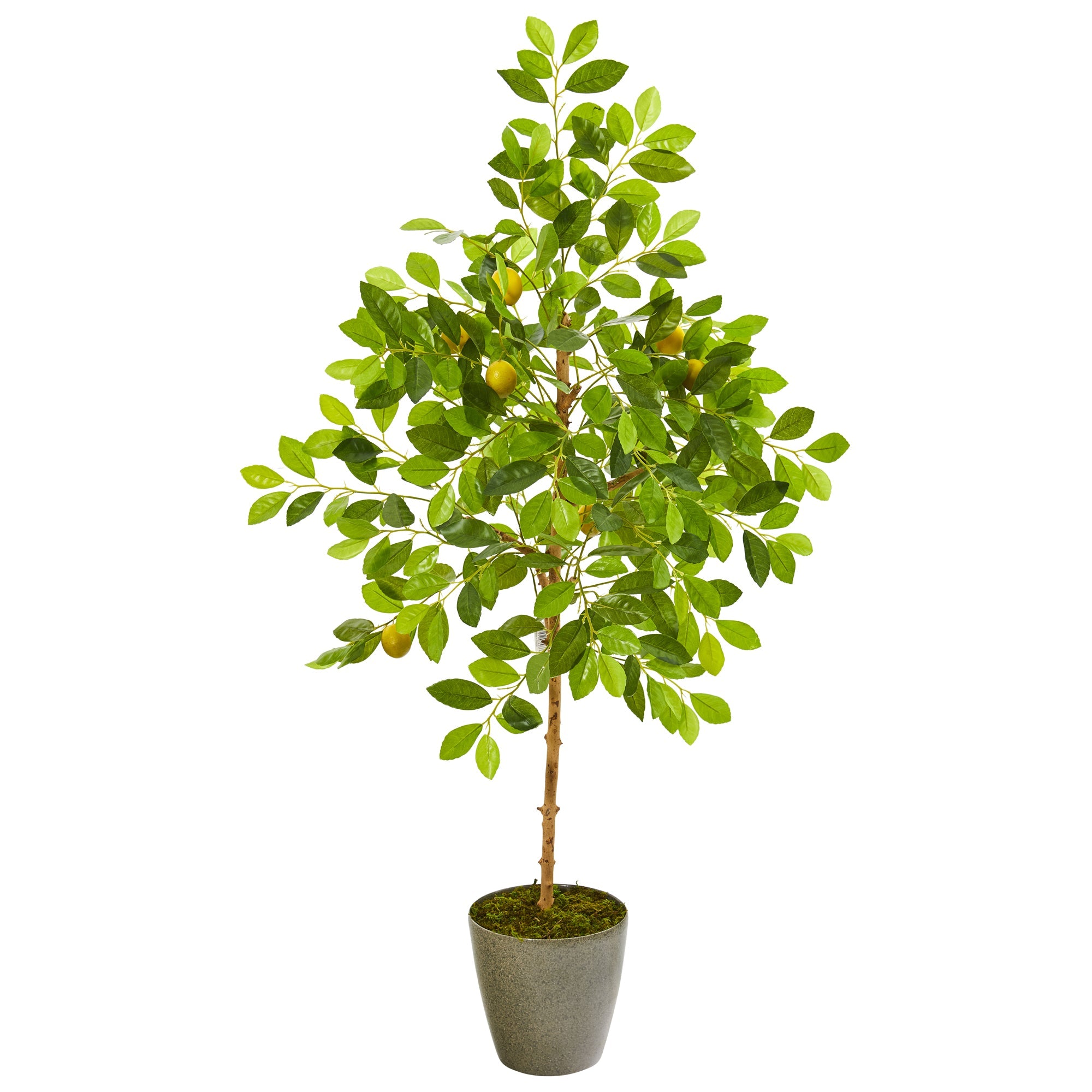54" Lemon Artificial Tree in Olive Green Planter