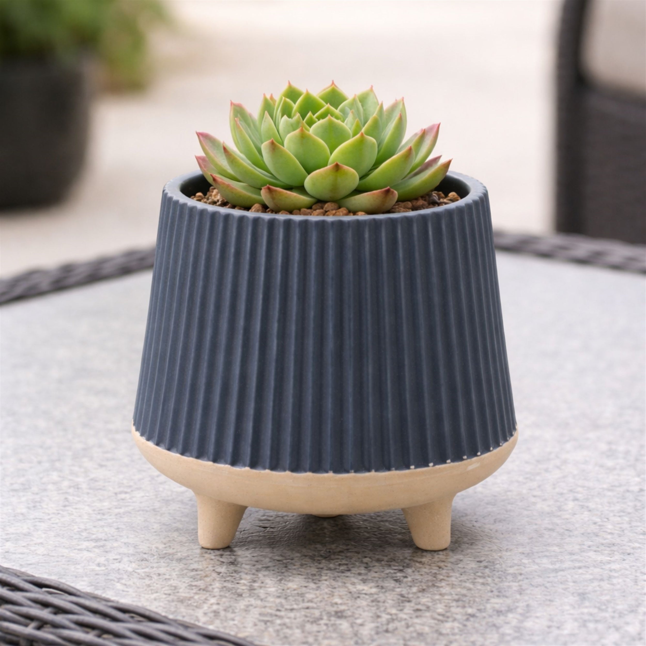 Ceramic Ribbed Footed Planter (Set of 2)
