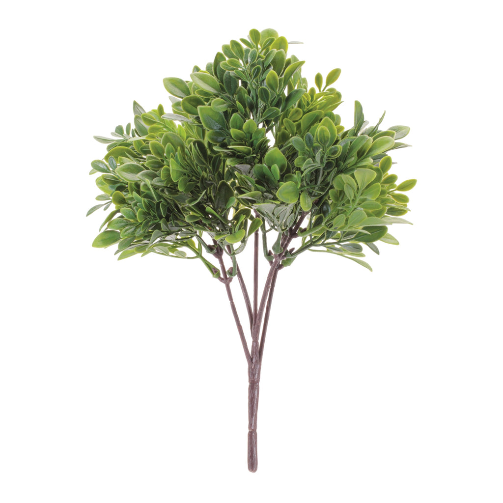 Boxwood Foliage Bush (Set of 6)