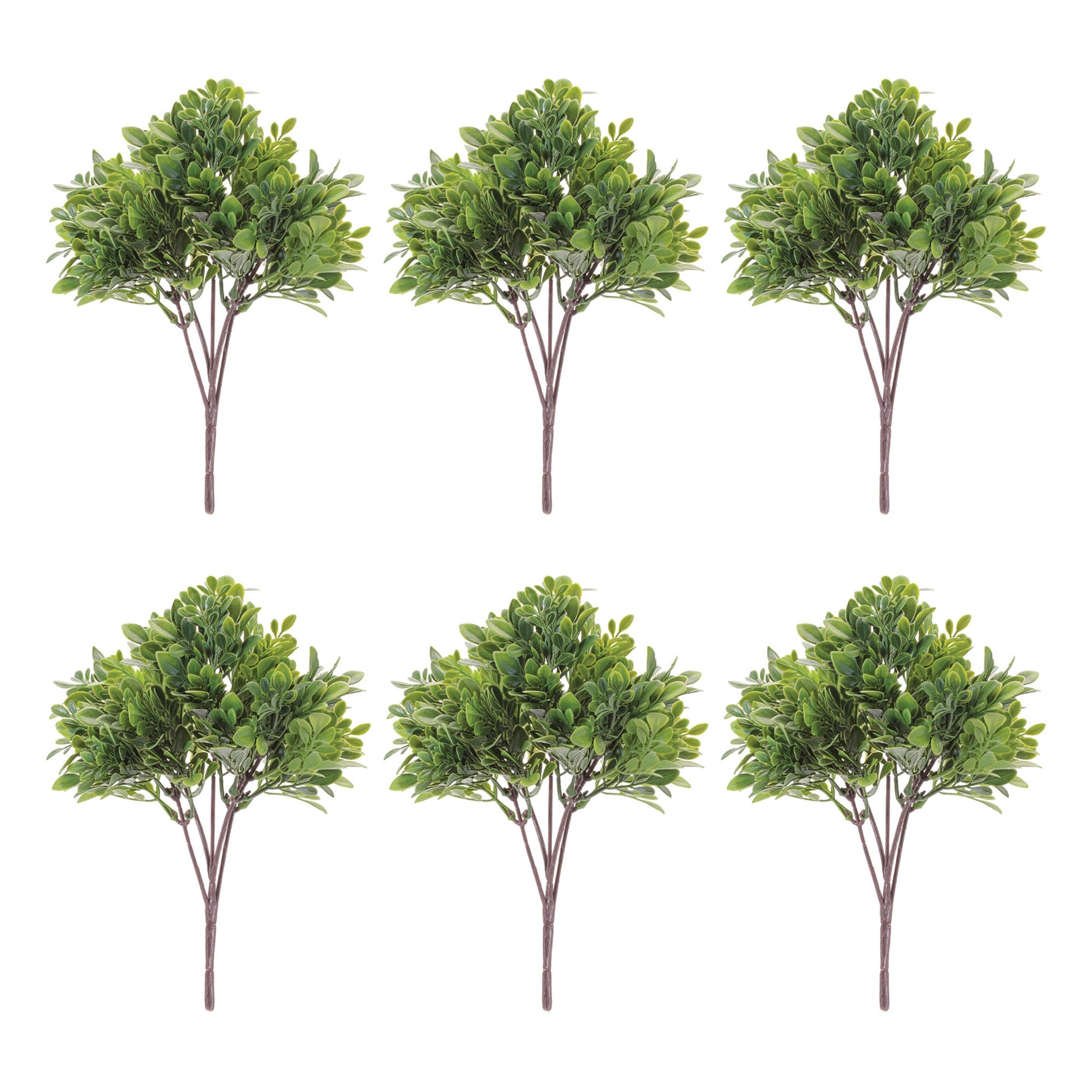 Boxwood Foliage Bush (Set of 6)