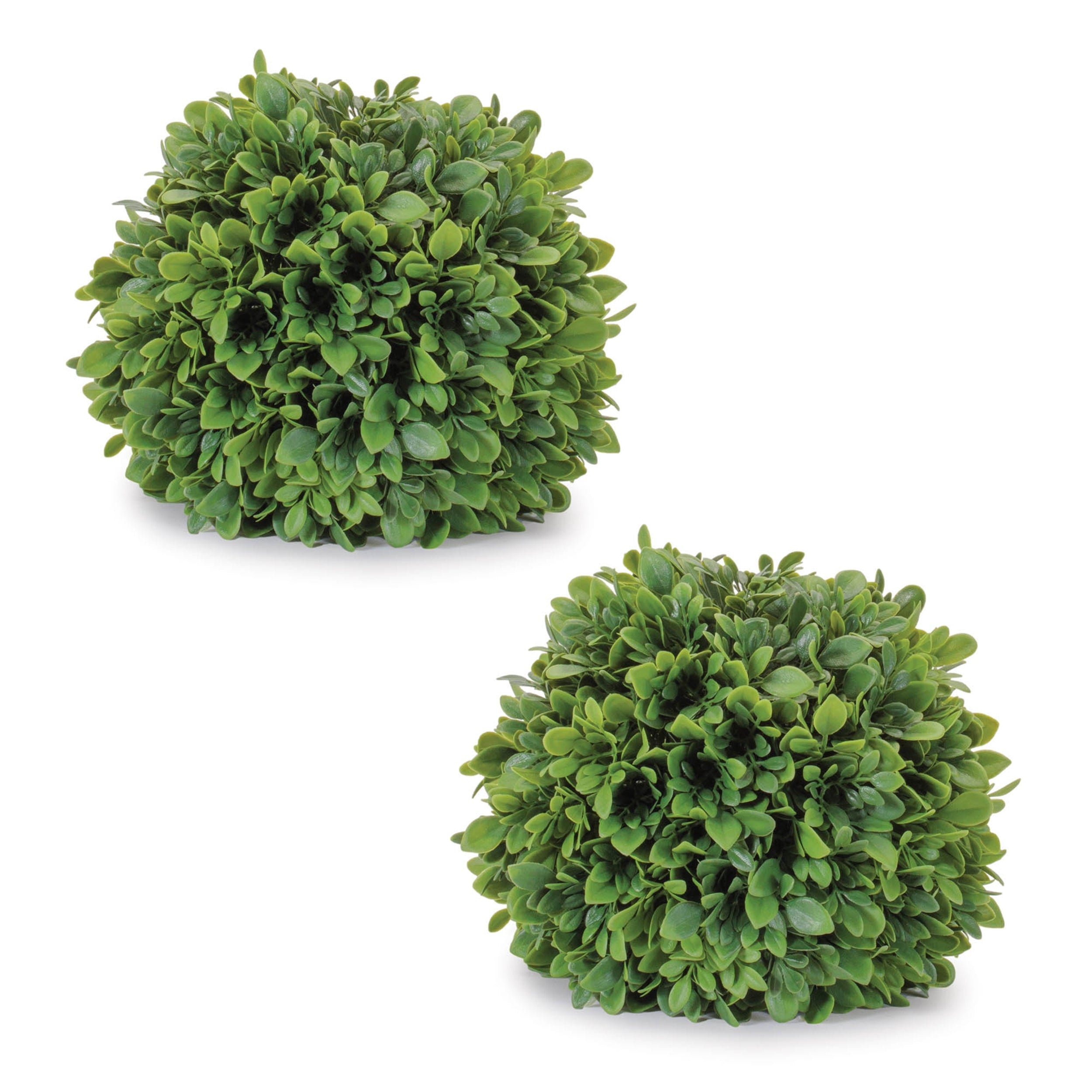 Boxwood Foliage Orb (Set of 2)