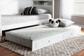 Baxton Studio Cintia Cottage Farmhouse White Finished Wood Twin Size Trundle
